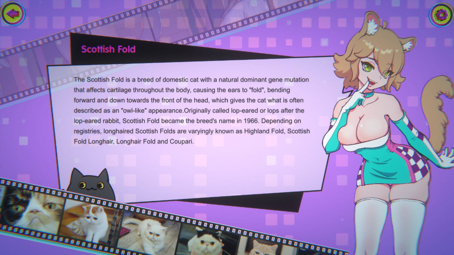 Miss Neko 3 — screenshot 3